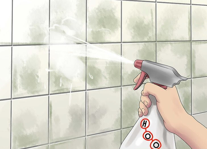 Read more about the article Help! I Have Mold in My Bathroom